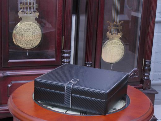 Шкатулка для зберігання годинників Salvadore 15W-KD