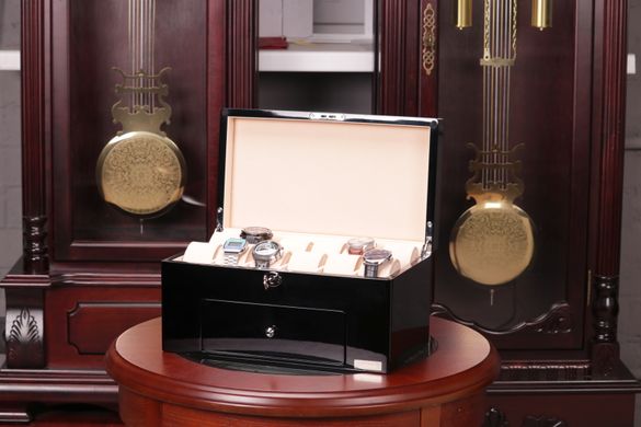 Шкатулка для зберігання годинників Salvadore 809-20BC