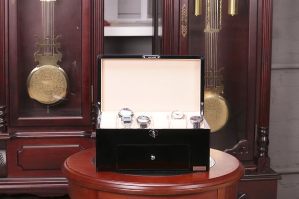 Шкатулка для зберігання годинників Salvadore 809-20BC