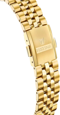 Festina Swiss Made F20089/1