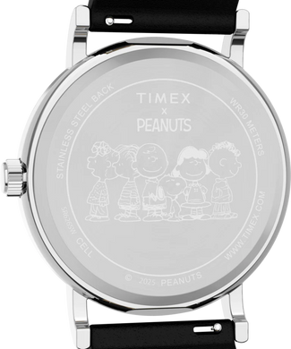 TIMEX Tx2y31000