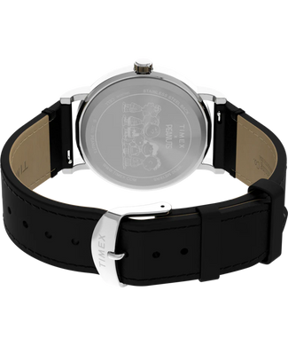 TIMEX Tx2y31000