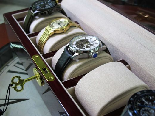 Шкатулка для зберігання годинників Salvadore WB/3081/RC