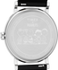 TIMEX Tx2y31000