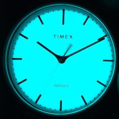 TIMEX Tx2r70200