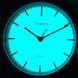 TIMEX Tx2r70200