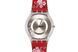 SWATCH SFK267
