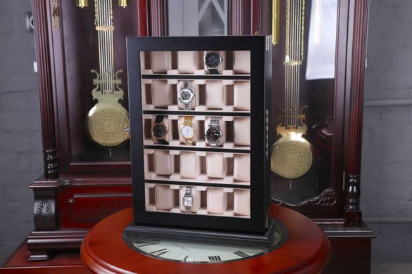Шкатулка для зберігання годинників Salvadore WB/1100/20.BL