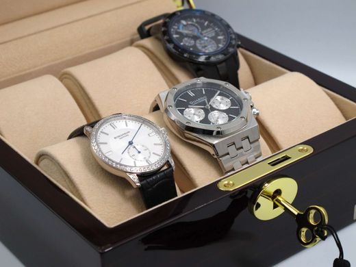 Скринька для зберігання годинників Salvadore 803-6EC