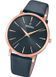 Festina F20373/2
