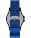 TIMEX Tx2y13100