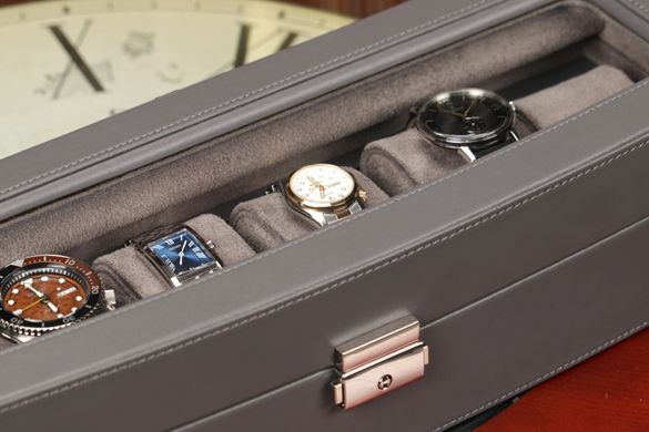 Скринька для зберігання годинників Salvadore 6W-HX-GY