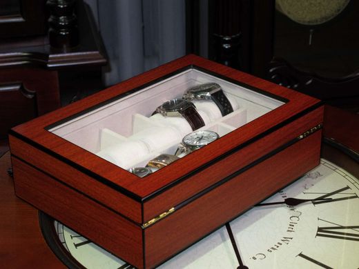Скринька для зберігання годинників Salvadore WB/1087/10.C