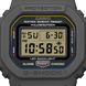 Casio G-SHOCK DW-5600MNC-8A2ER