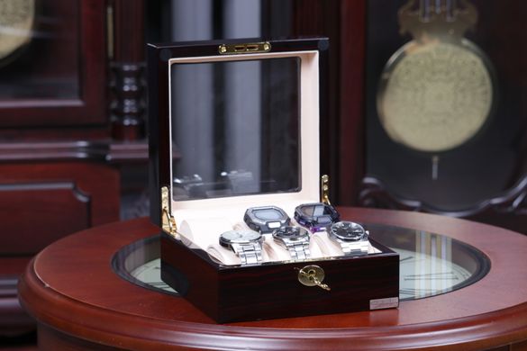 Шкатулка для зберігання годинників Salvadore 841-6EC