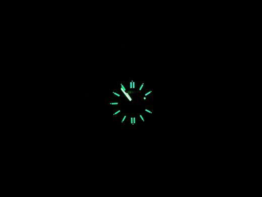 Citizen NJ0231-56L