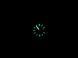 Citizen NJ0231-56L