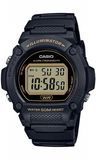 Casio W-219H-1A2VEF