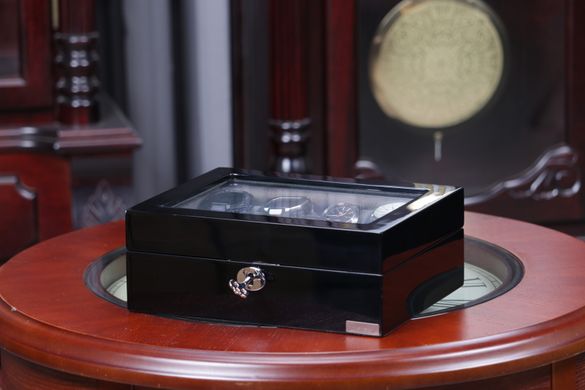 Скринька для зберігання годинників Salvadore 841-8BG