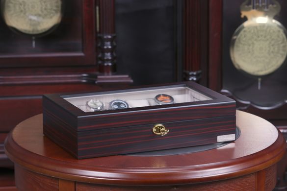 Скринька для зберігання годинників Salvadore WB/1087/12.E