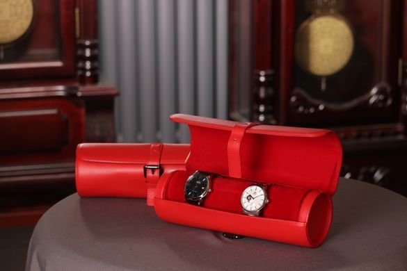 Кейс для часов Salvadore 3W-JT-RR